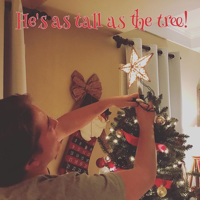 Trimming the tree!